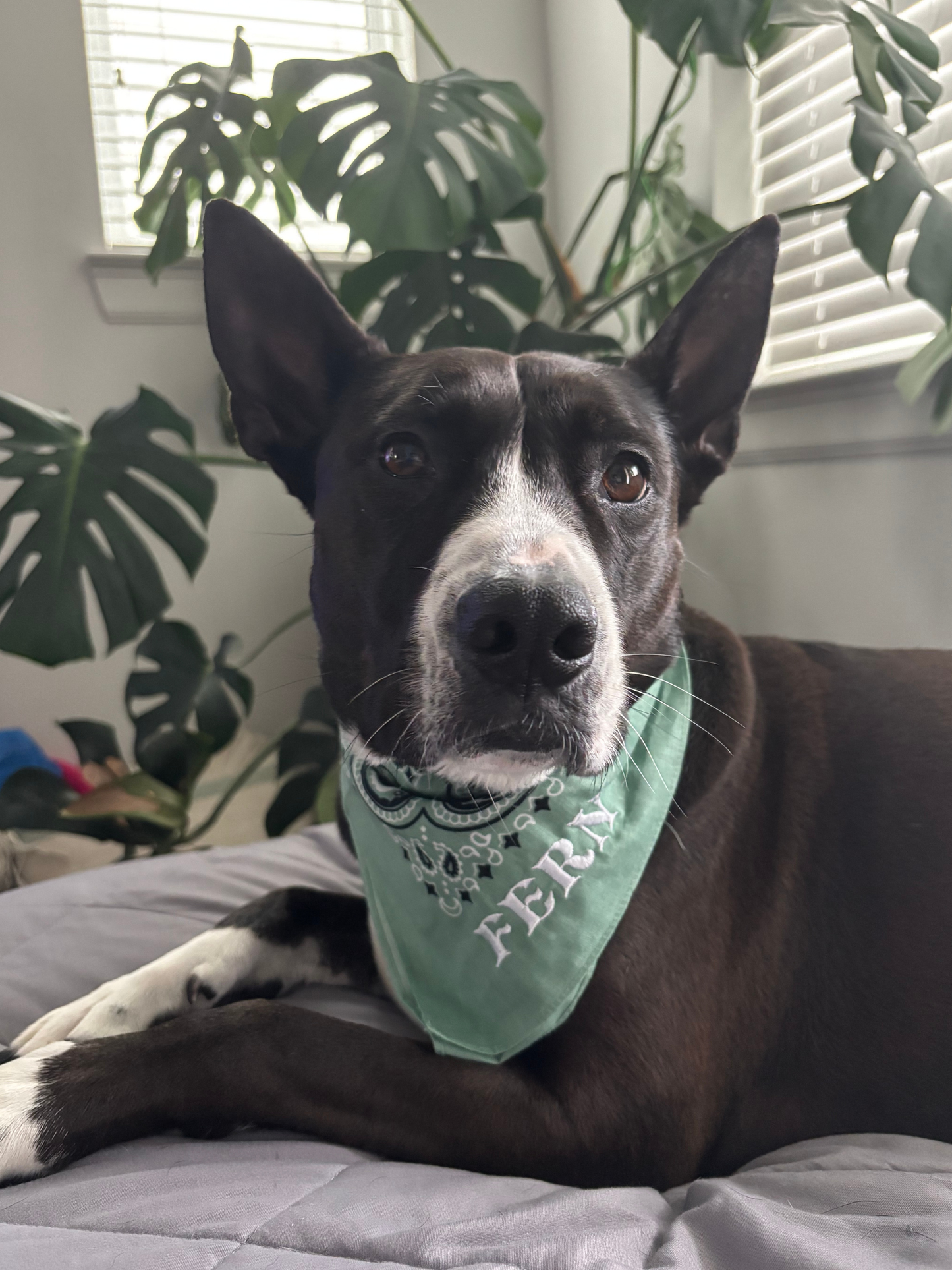 Custom Embroidered Bandana